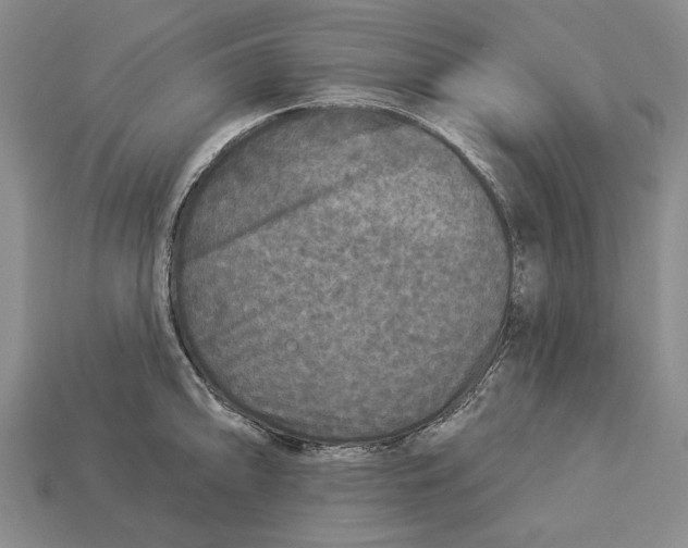 X0000112961094200909241154