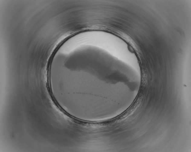 X0000112961095200909241154