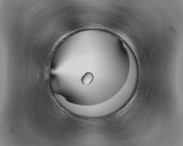 X0000112961097200909241154