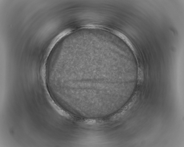 X0000112961098200909241154