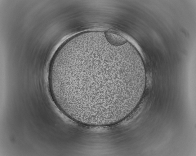 X0000112961099200909241154