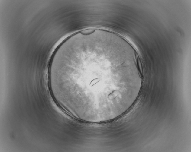 X0000112961100200909241154