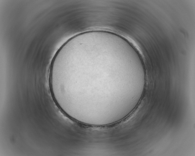 X0000112961102200909241154