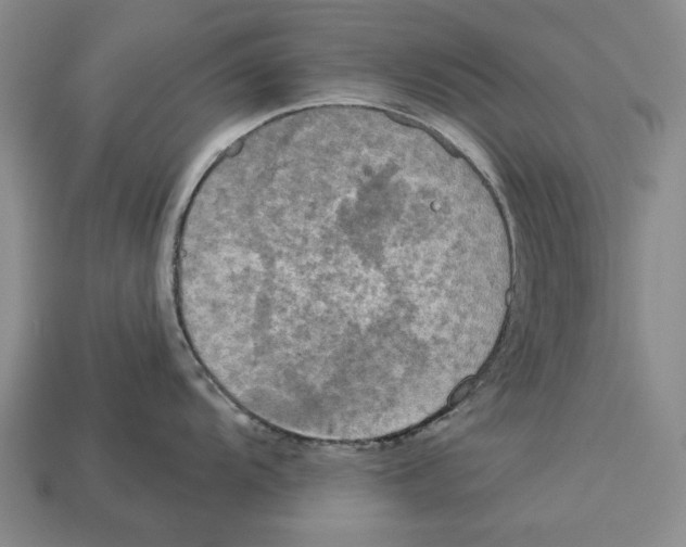 X0000112961104200909241154