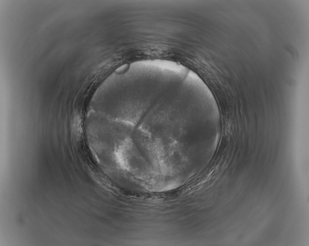 X0000112961106200909241154