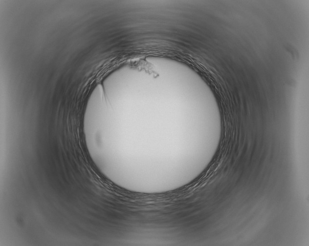 X0000112961108200909241154