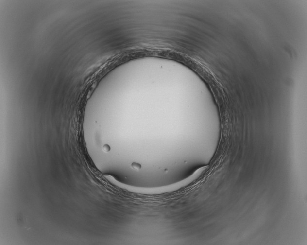 X0000112961110200909241154