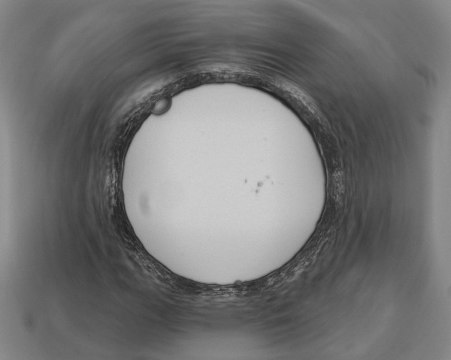 X0000112961111200909241154