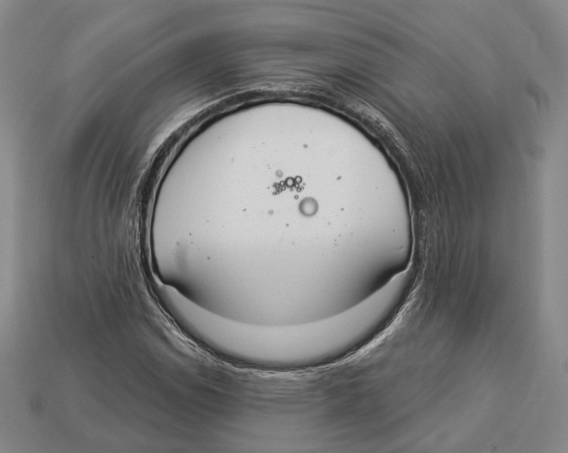 X0000112961114200909241154