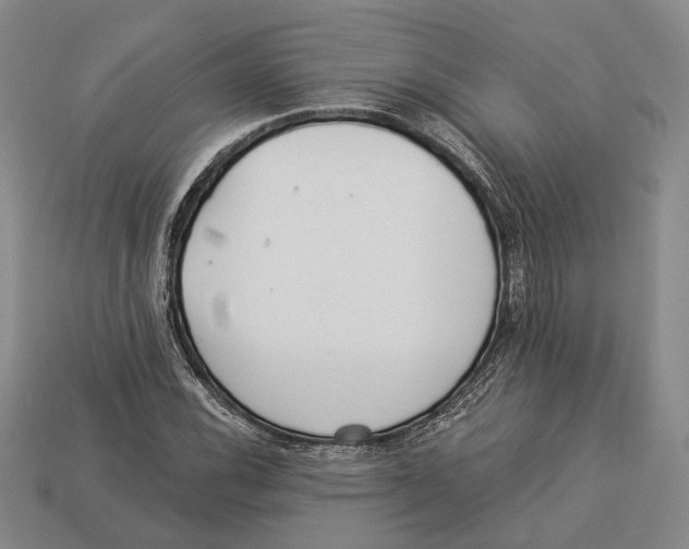 X0000112961116200909241154