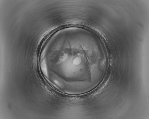 X0000112961117200909241154