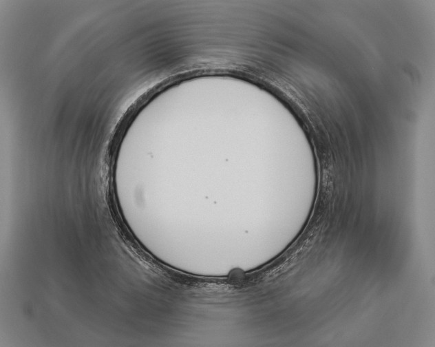 X0000112961119200909241154