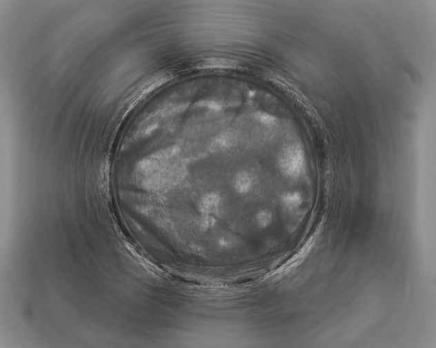 X0000112961121200909241154