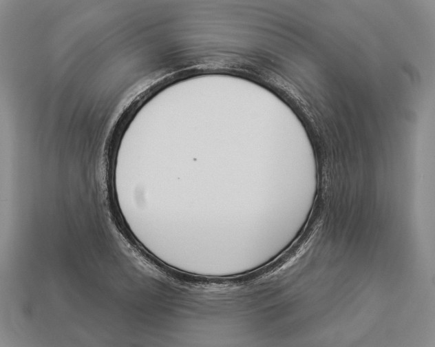 X0000112961122200909241154