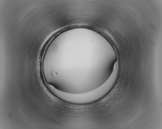 X0000112961124200909241154