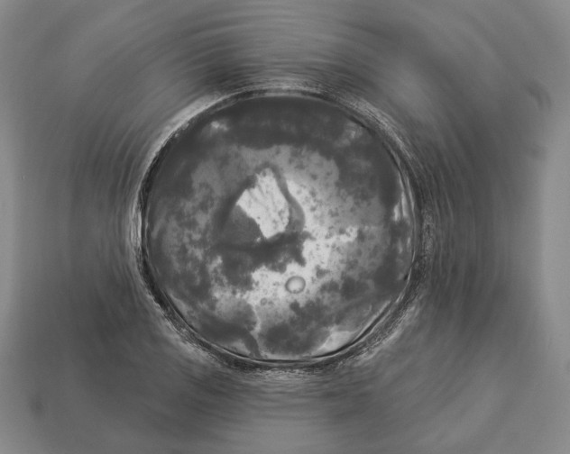 X0000112961125200909241154