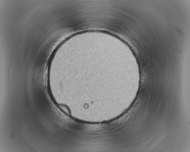 X0000112961126200909241154