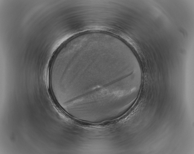 X0000112961127200909241154