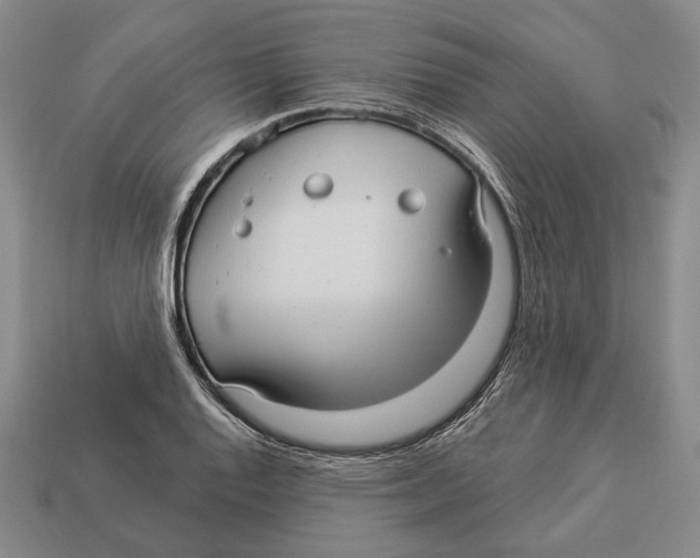 X0000112961128200909241154