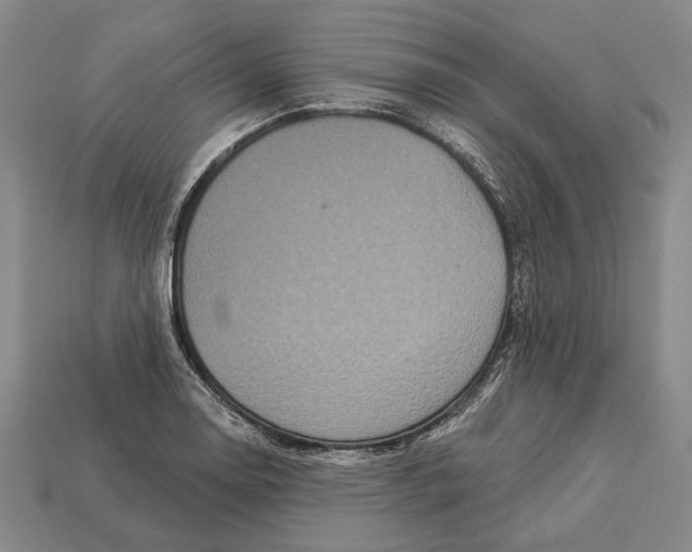 X0000112961130200909241154