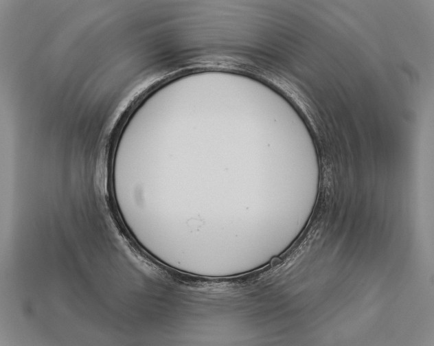 X0000112961131200909241154