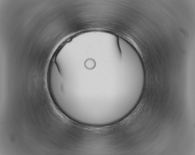 X0000112961132200909241154