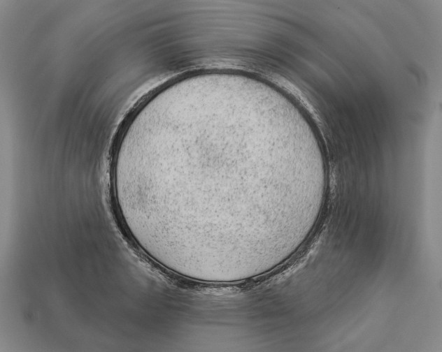 X0000112961133200909241154