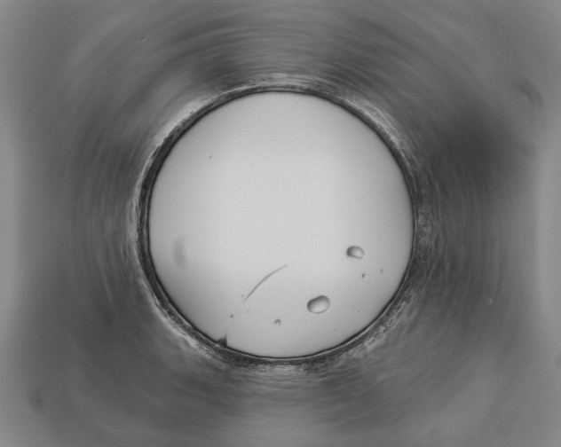 X0000112961135200909241154