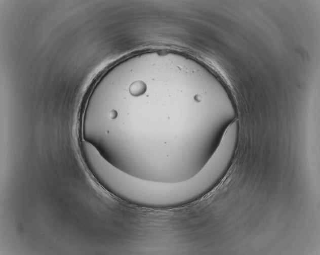 X0000112961136200909241154