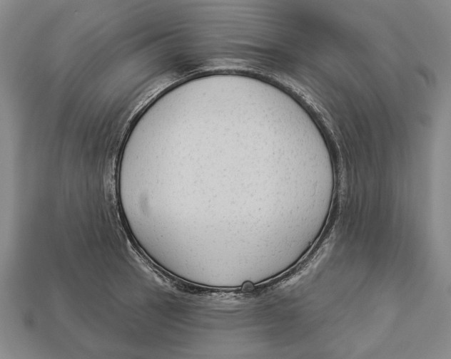 X0000112961137200909241154