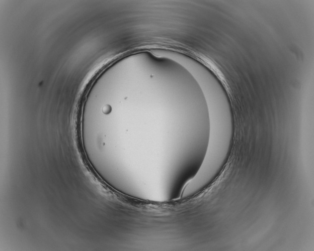 X0000112961138200909241154