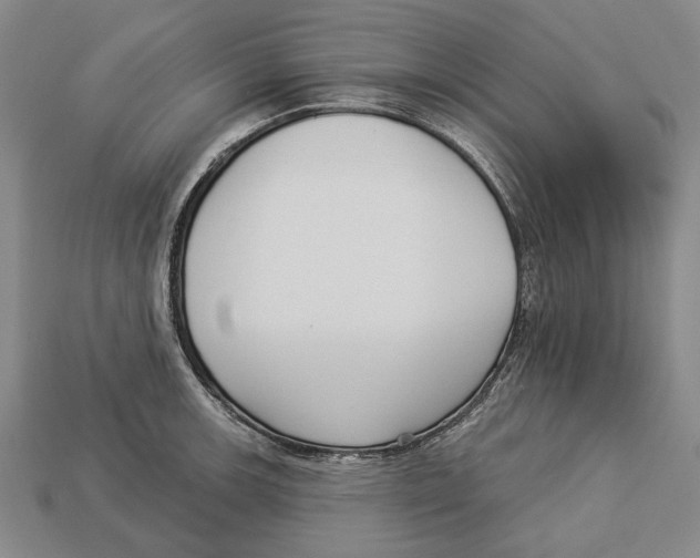 X0000112961139200909241154