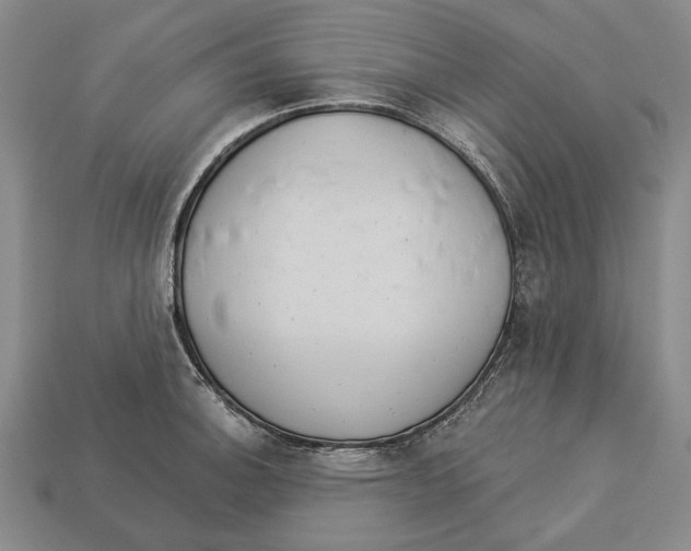 X0000112961140200909241154