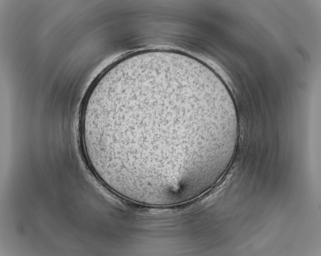 X0000112961142200909241154