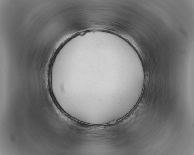 X0000112961143200909241154