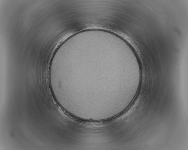 X0000112961145200909241154