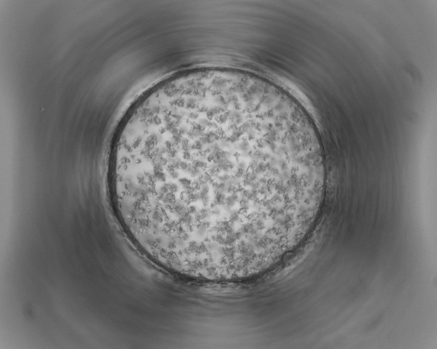 X0000112961146200909241154