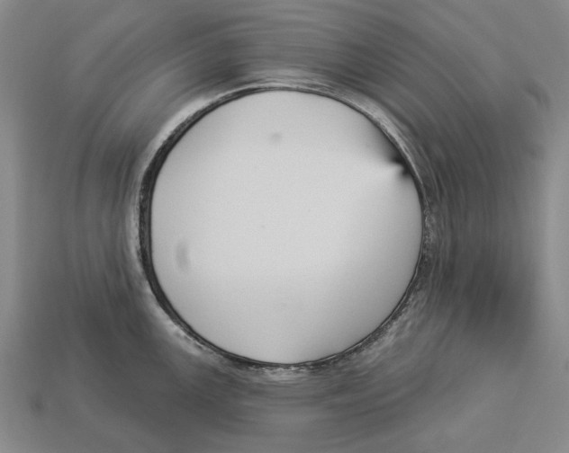 X0000112961147200909241154