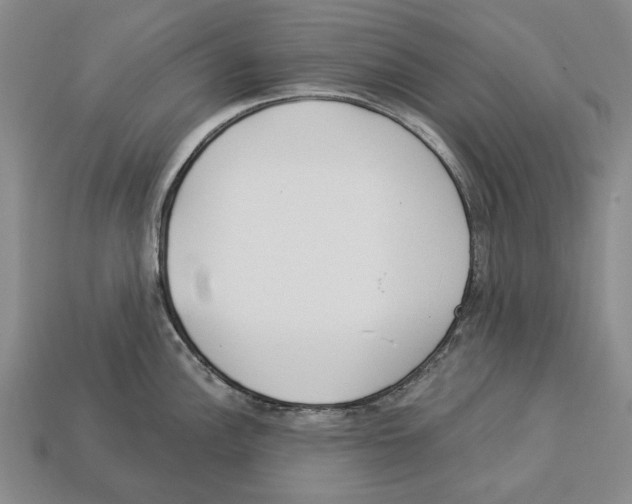 X0000112961148200909241154