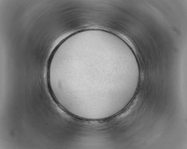 X0000112961149200909241154