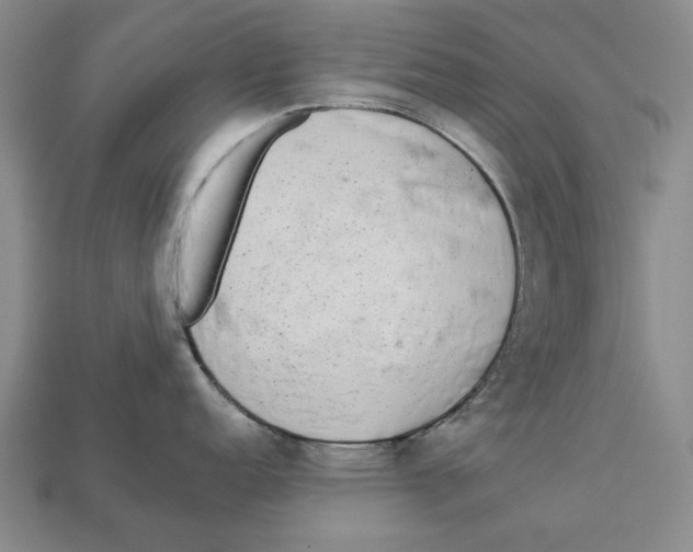 X0000112961152200909241154