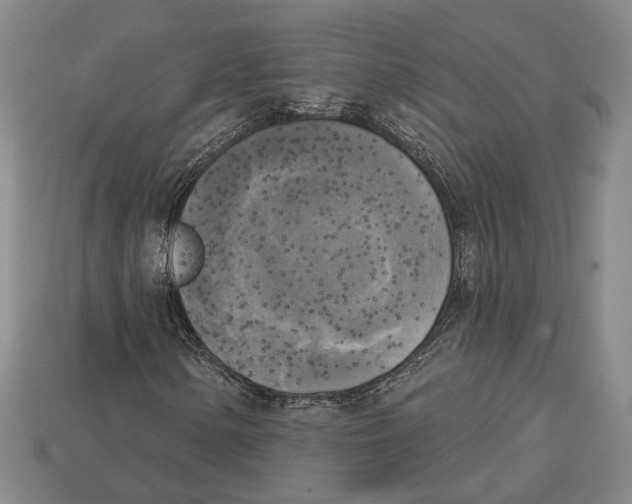 X0000112961154200909241154