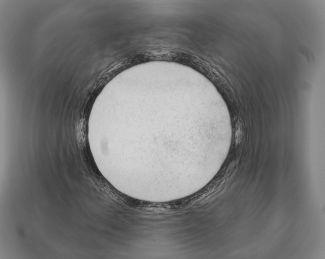 X0000112961156200909241154