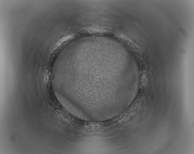 X0000112961157200909241154