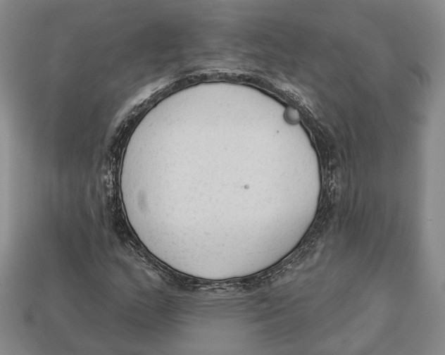 X0000112961159200909241154