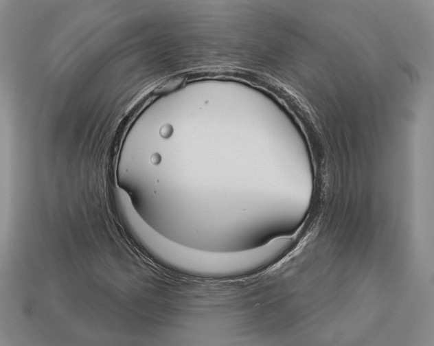 X0000112961162200909241154