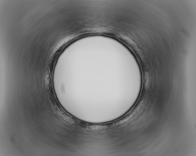 X0000112961163200909241154