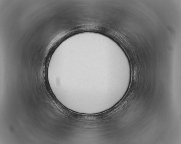 X0000112961164200909241154