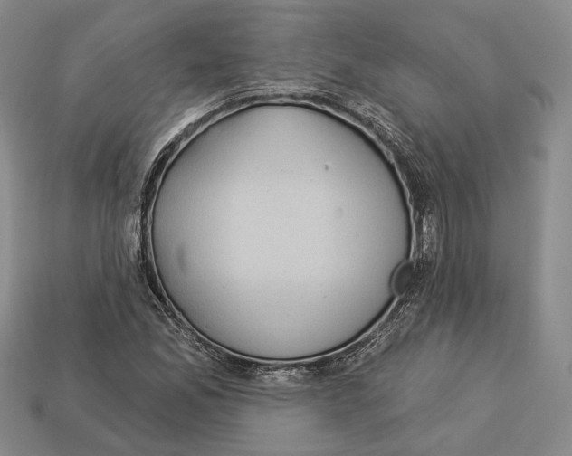 X0000112961165200909241154