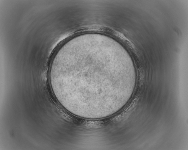 X0000112961166200909241154